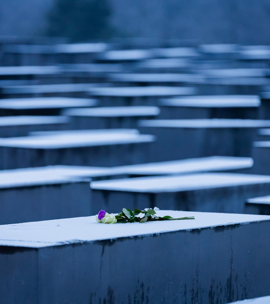 Blumen liegen anlässlich des Internationalen Tags des Gedenkens an die Opfer des Holocaust auf einer Stele des Denkmals für die ermordeten Juden Europas. 