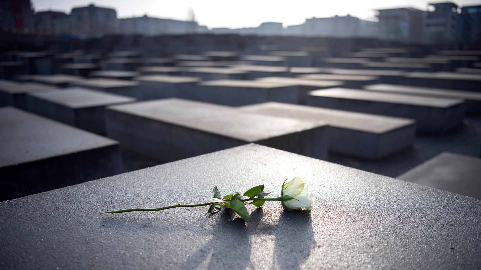 Holocaustdenkmal in Berlin