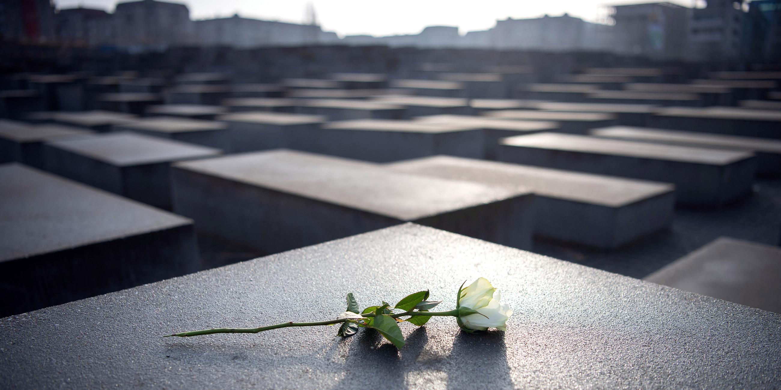 Holocaustdenkmal in Berlin