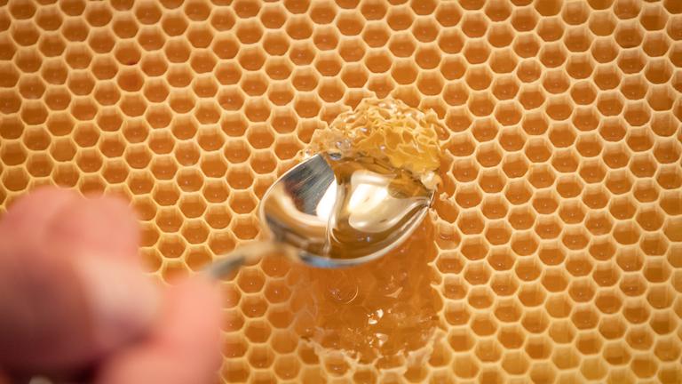Mit einem Löffel wird Honig aus einer Bienenwabe entnommen.