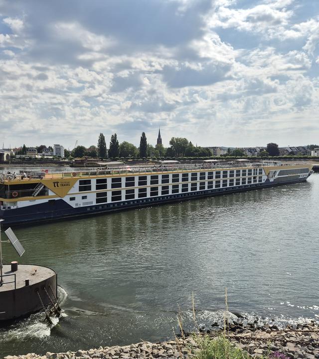 Nordrhein-Westfalen, Bonn: Das Schiff Thurgau Gold liegt quer auf dem Rhein auf einer Sandbank auf.