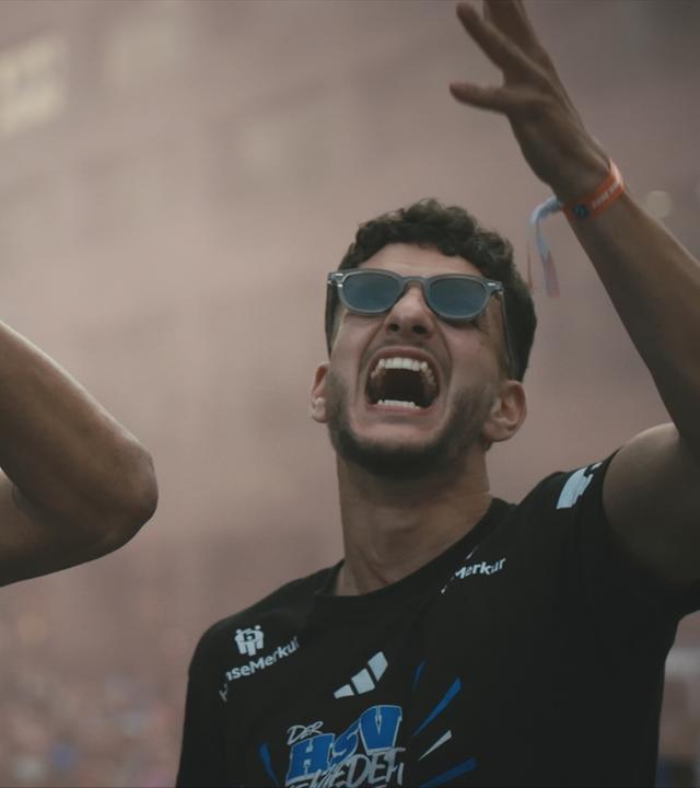 HSV-Doku