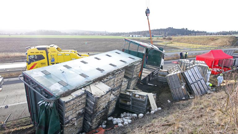 Ein Tiertransporter mit tausenden Hühnern ist auf der A36 bei Quedlinburg verunglückt