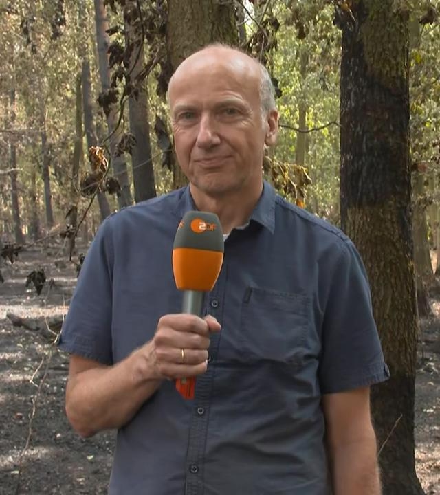 ZDF-Reporter Peter Böhmer im Hürtgenwald in der Eifel