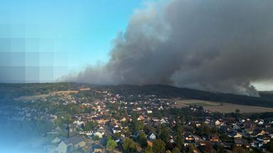 Waldbrand in Hürtgenwald: Dorf in Gefahr