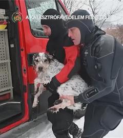 Eine Rettungskraft hievt den unterkühlten Hund in den Rettungswagen