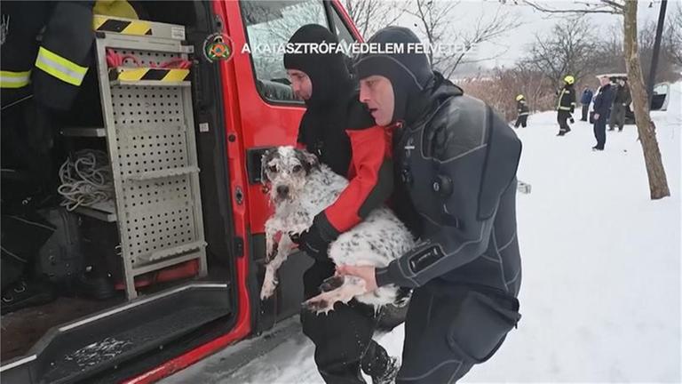 Eine Rettungskraft hievt den unterkühlten Hund in den Rettungswagen