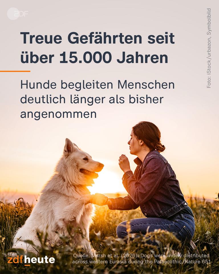 Hunde schon seit 15.000 Jahren Gefährten des Menschen
