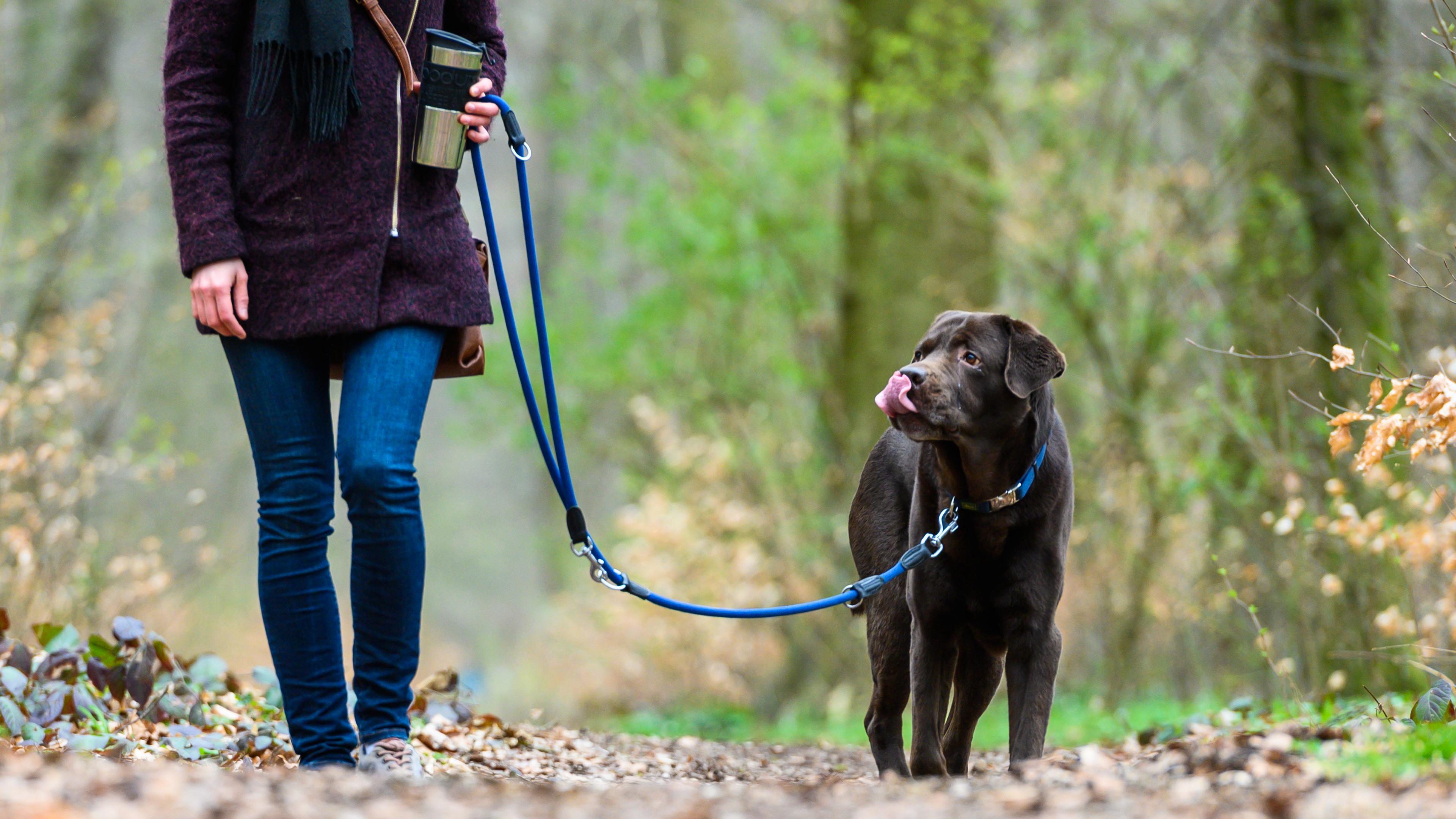 Eine Frau geht mit ihrem Hund spazieren.