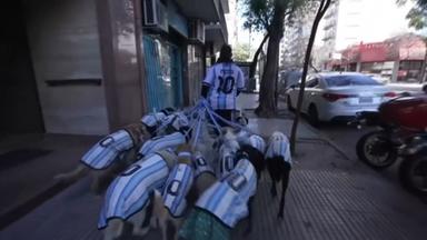 Dreizehn Hunde im Argentinien Trikot in Buenos Aires.