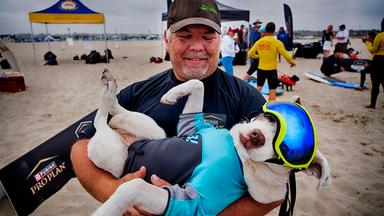 James Will nimmt sich einen Moment Zeit für Faith, einen 13-jährigen, teilweise blinden und tauben amerikanischen Pitbull-Terrier, bevor er am jährlichen regionalen Surf-Wettbewerb "Incredible Dog Challenge" am 20.06.2025 in Huntington Beach, Kalifornien, teilnimmt.
