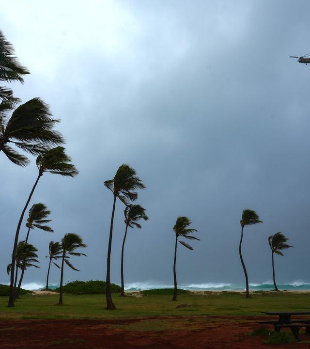 Starke winde wehen auf einem Strand auf Hawaii.
