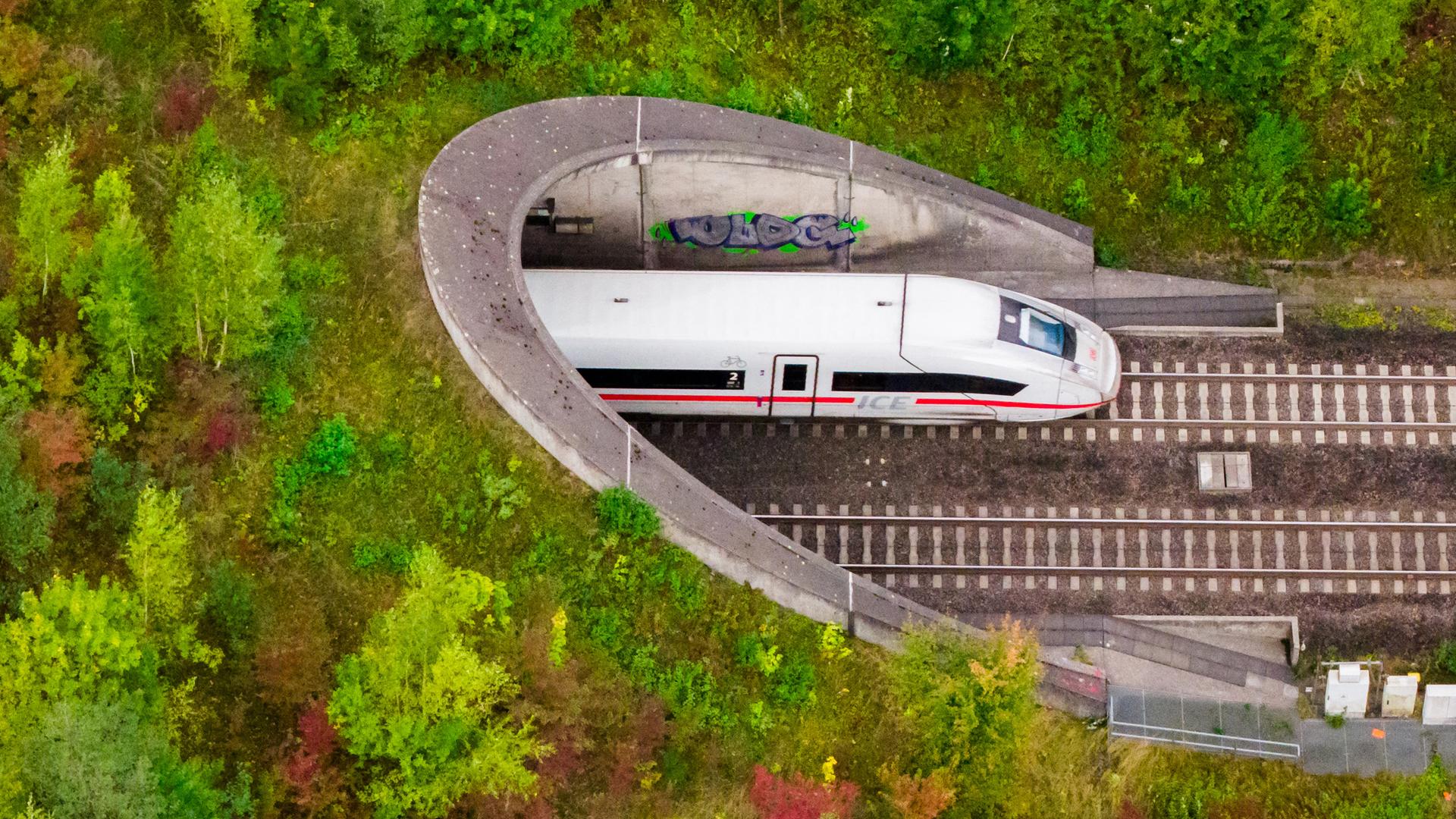 Ein ICE der Deutschen Bahn fährt in den Tunnel Escherberg im Landkreis Hildesheim (Archivfoto)
