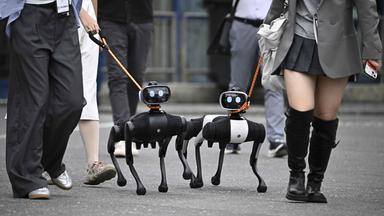 Die Zukunft künstlicher Intelligenz - ein zentrales Thema der diesjährigen IFA.
