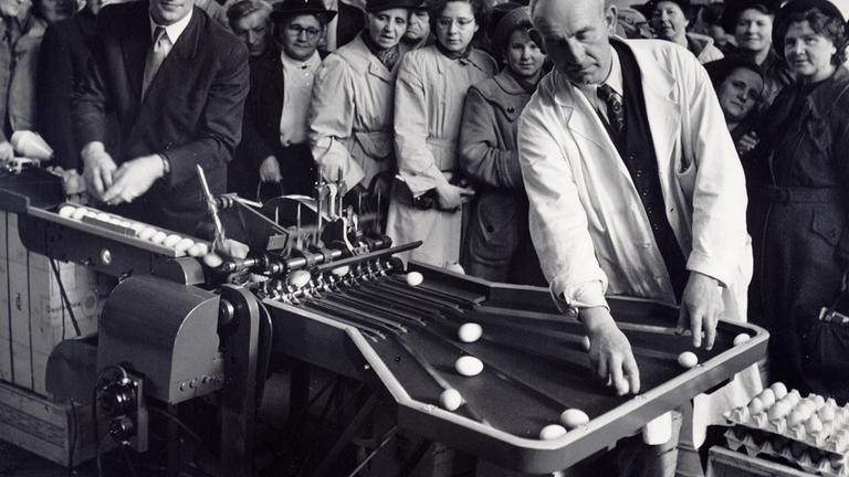 1953 – Ein Besuchermagnet der Grünen Woche ist diese automatische Eiersortiermaschine