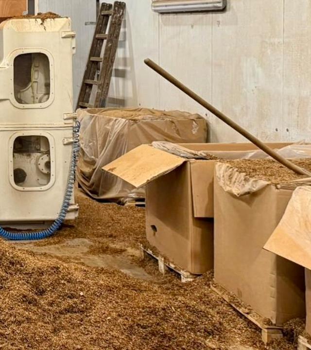 Ein Haufen mit geschnittenem Tabak liegt in einer illegalen Zigarettenfabrik. 