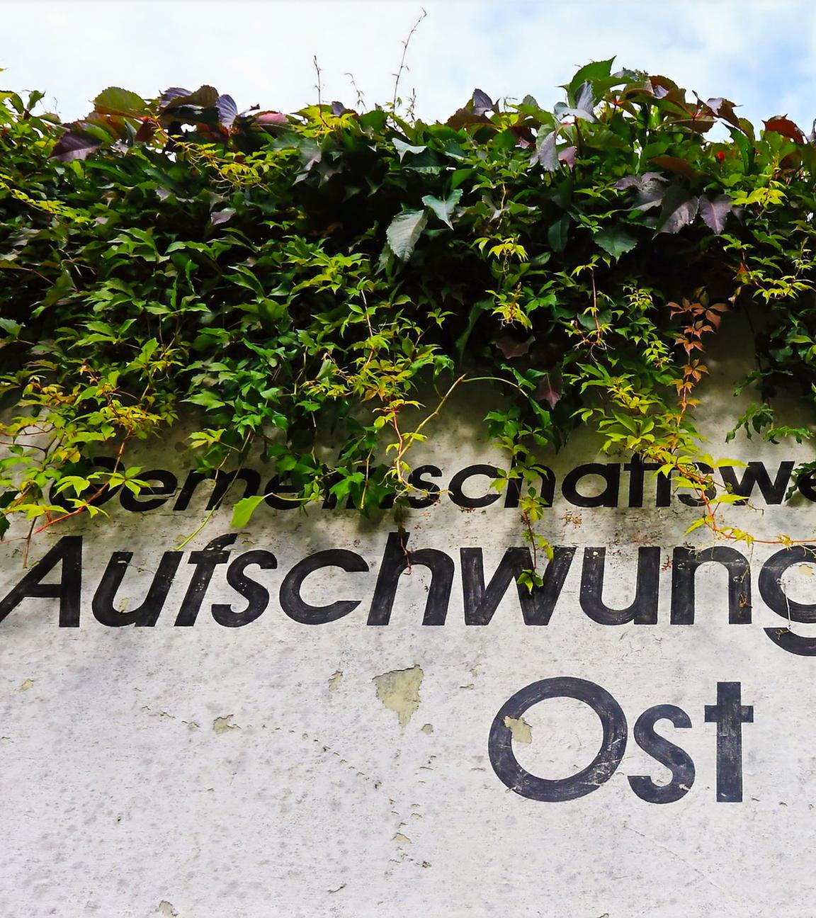 Kerstin Flade-Drechsel im Vordergrund hält einen Karton in der Hand, im Hintergrund sind verschiedene Gegenstände in einer Glasvitrine zu sehen.