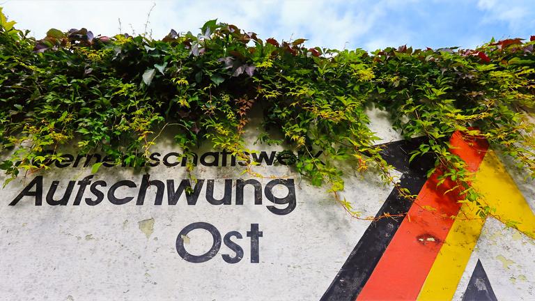 Kerstin Flade-Drechsel im Vordergrund hält einen Karton in der Hand, im Hintergrund sind verschiedene Gegenstände in einer Glasvitrine zu sehen.