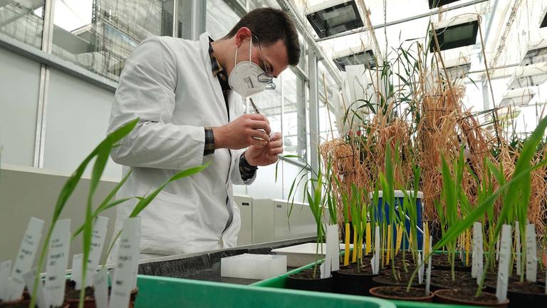 Können wir ohne Landwirtschaft leben? - 42 - Die Antwort auf fast alles