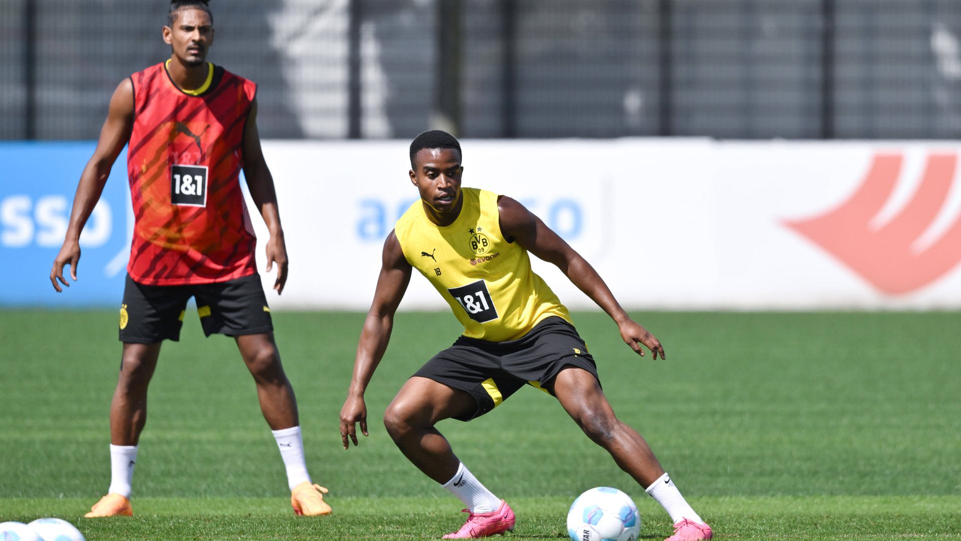 Sebastien Haller und Youssoufa Moukoko (BVB)