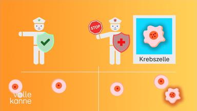 Wirkung des mRNA-Impfstoffs gegen Hautkrebs anhand  einer Grafik erklärt.