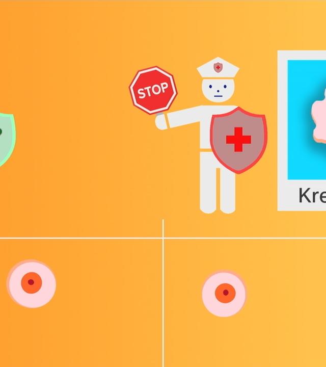 Wirkung des mRNA-Impfstoffs gegen Hautkrebs anhand  einer Grafik erklärt.