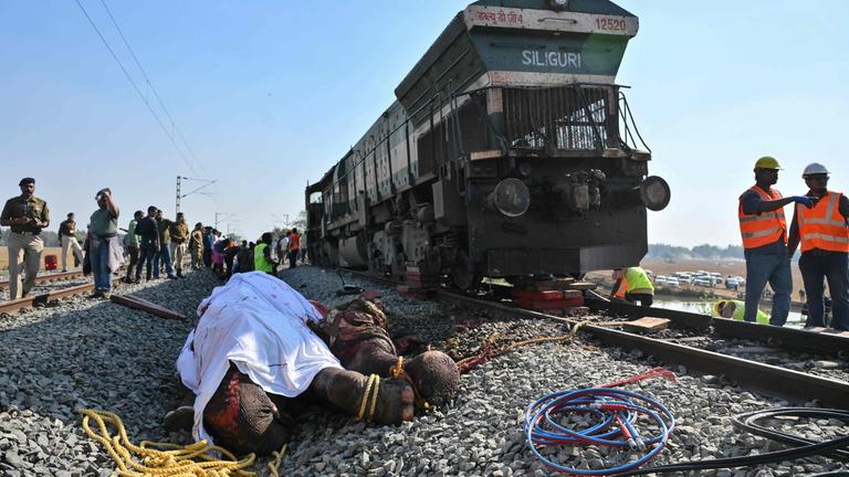 Sieben Elefanten sterben bei Zugunglücl in Indien