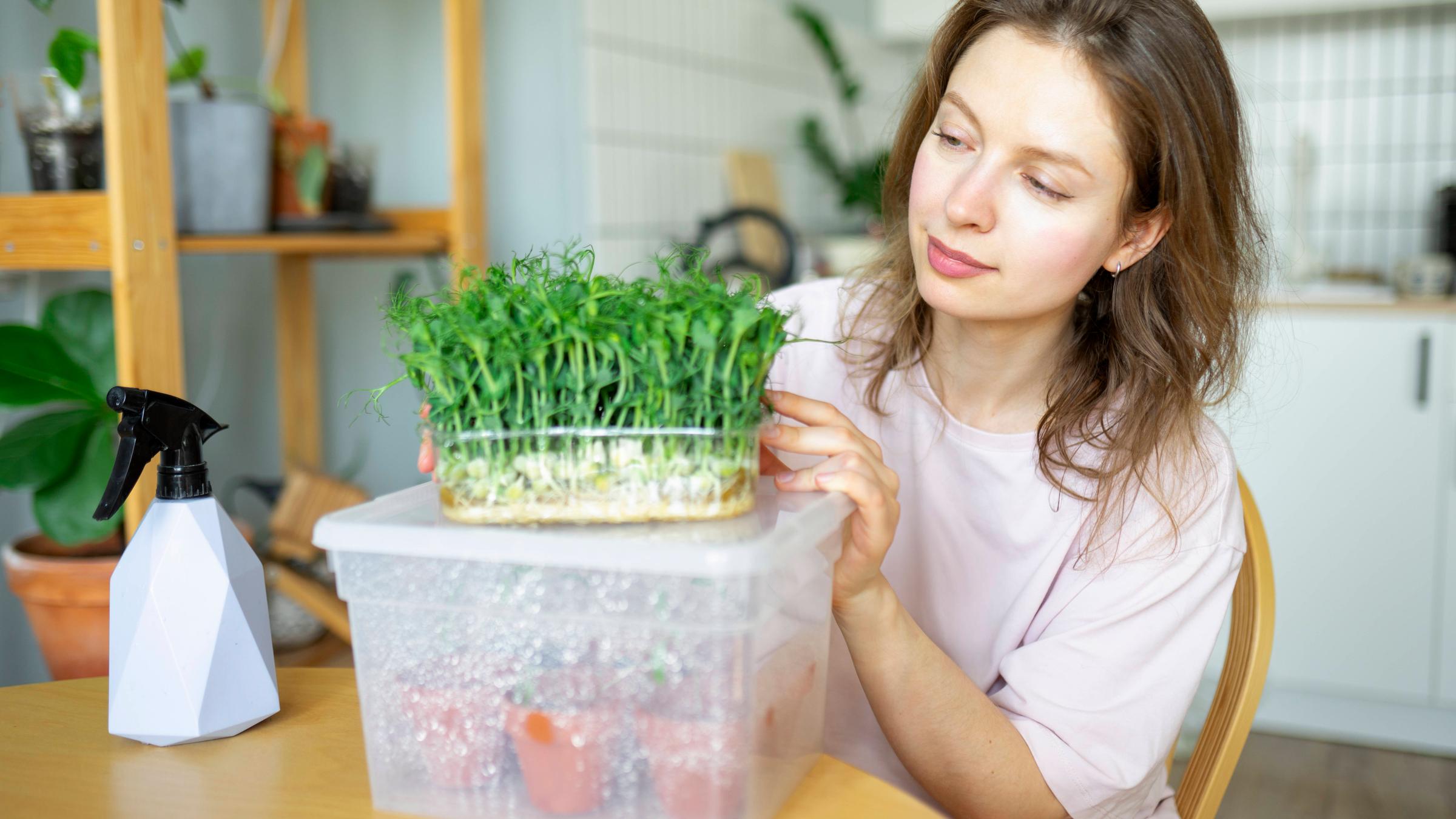 Eine Frau sitzt am Küchentisch, vor ihr eine Plastikbox mit kleinen Pflanztöpfen, auf der eine Schale mit frischer Kresse steht.