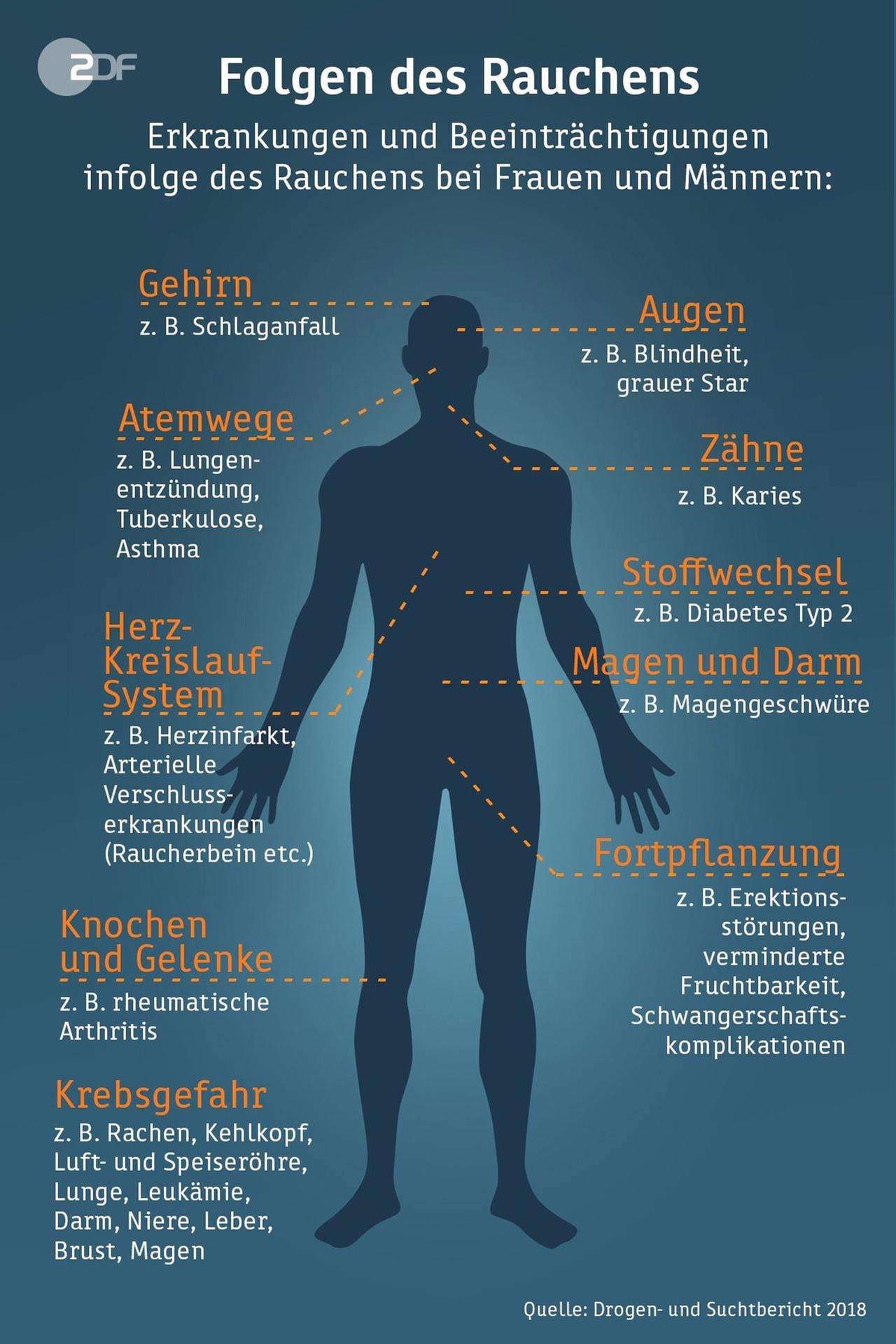 Infografik: Folgen des Rauchens 