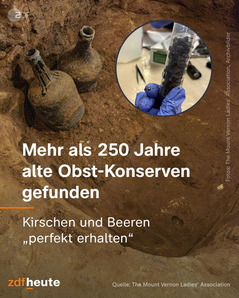 Infografik: Mehr als 250 Jahre alte Obst-Konserven gefunden