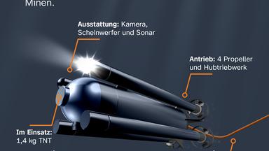 Die Bundeswehr räumt Seeminen unter anderem mit der Unterwasserdrohne "Seefuchs". Der "Seefuchs C" hat Sprengstoff dabei und sprengt sich mit der Mine, der "Seefuchs I" identifiziert Minen.