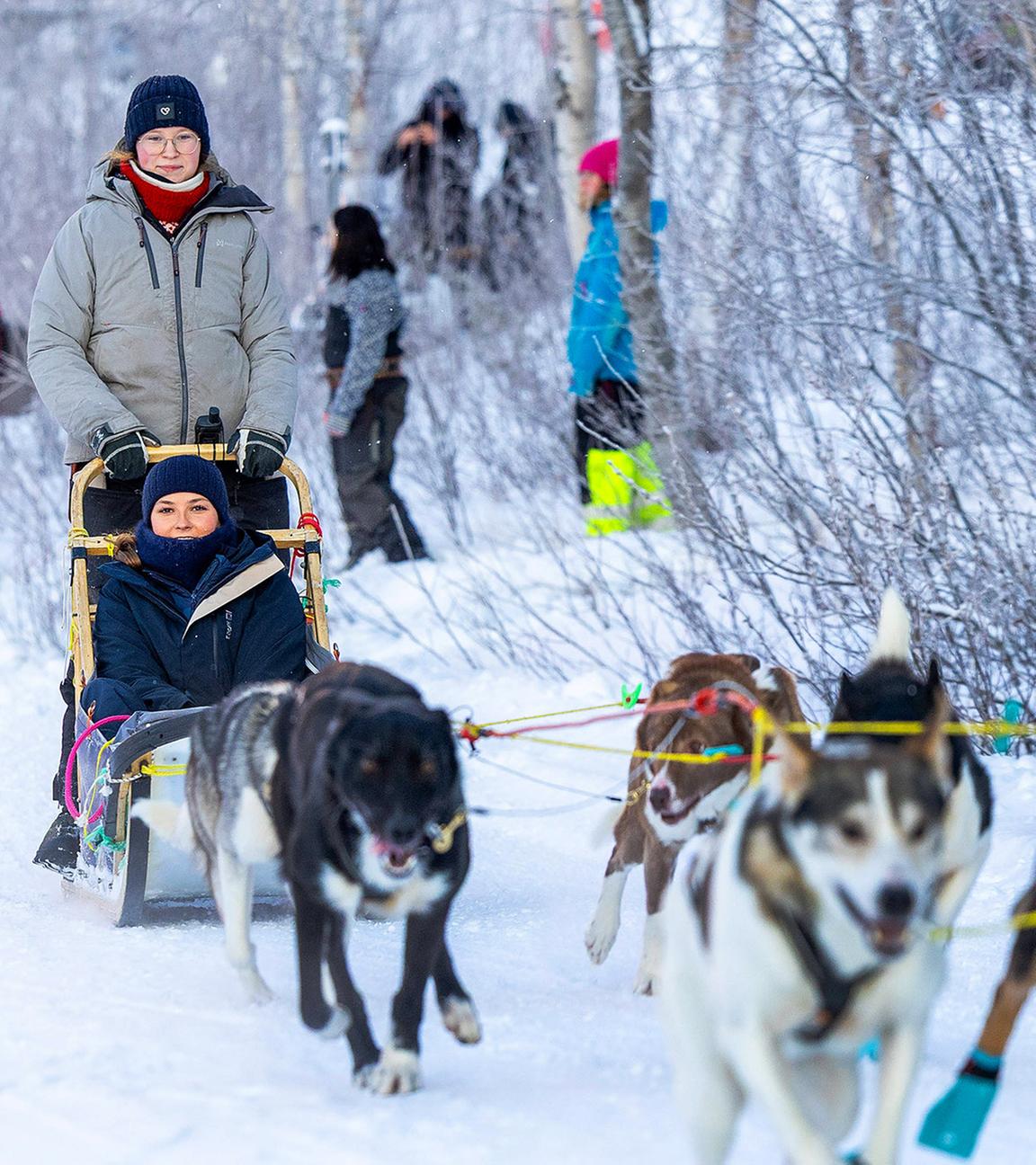 Das Nordkap ist nur wenige Kilometer entfernt und es ist bitterkalt: Der ideale Ort also für einen Ausflug mit Schlittenhunden, dachte sich Norwegens Prinzessin Ingrid Alexandra. (28.01.2026)
