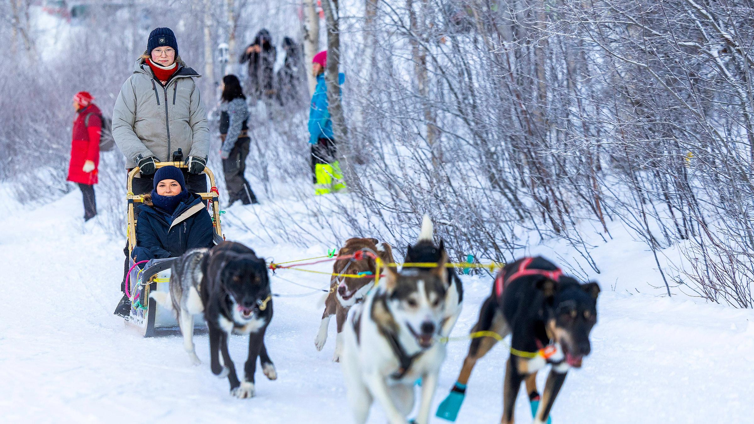 Das Nordkap ist nur wenige Kilometer entfernt und es ist bitterkalt: Der ideale Ort also für einen Ausflug mit Schlittenhunden, dachte sich Norwegens Prinzessin Ingrid Alexandra. (28.01.2026)