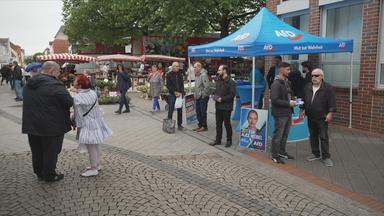 AFD Infostand