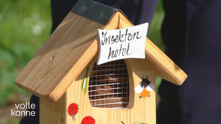 Insektenfreundliche Gärten