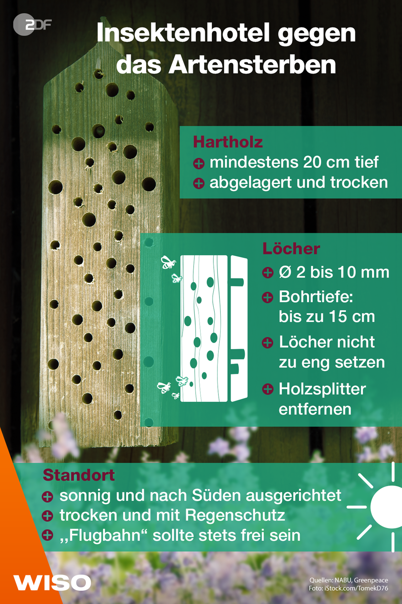 Insektenhotel selbst bauen und etwas gegen das Artensterben machen