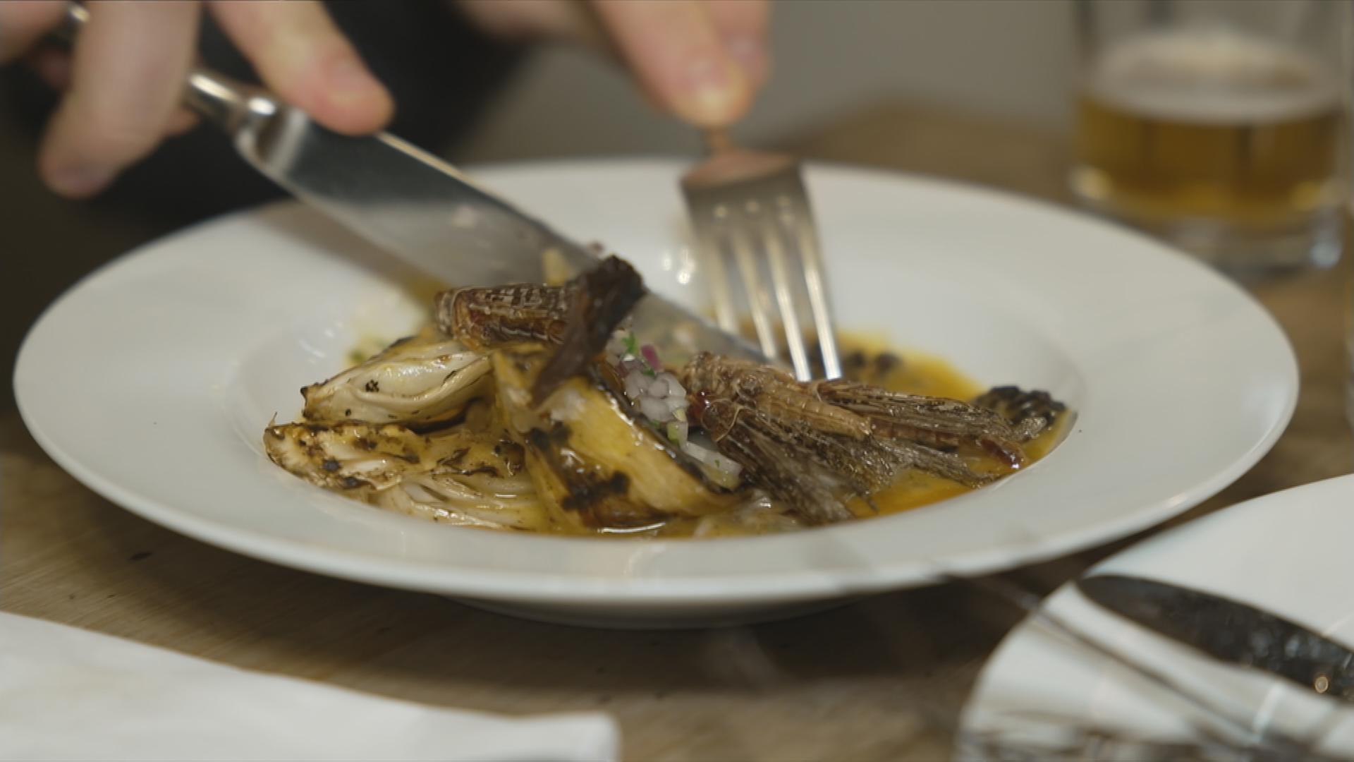 Salat mit Insekten