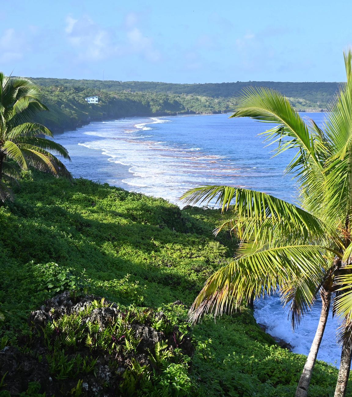Inselstaat Niue in der Südsee - Blick auf Küste (Archiv)