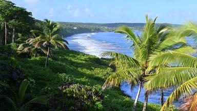 Berlin startet formale Beziehungen zu Pazifikstaat Niue