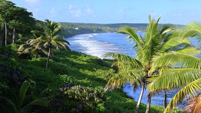Inselstaat Niue in der Südsee - Blick auf Küste (Archiv)