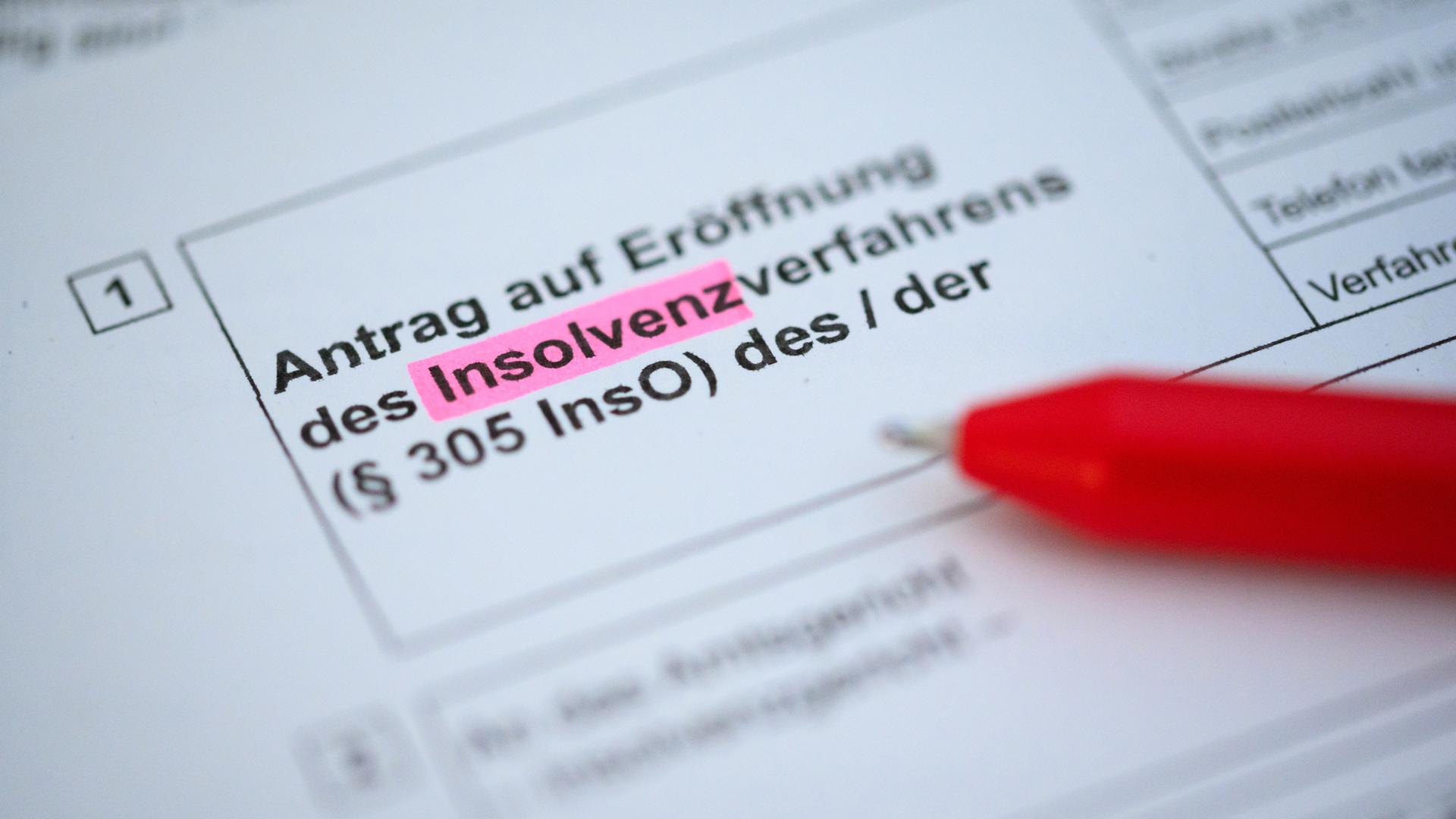 Hamburg: Ein Kugelschreiber liegt auf einem Antrag zur Eröffnung eines Insolvenzverfahrens.