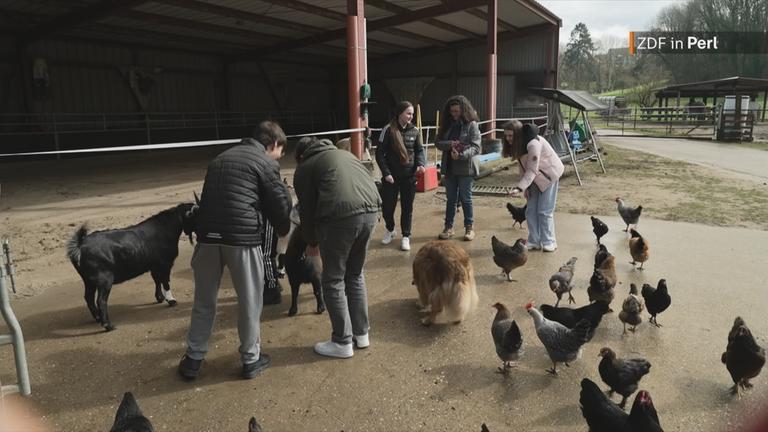 Intergrationsmodell für urkainische Kinder und Jugendliche auf Bauernhof in Perl 