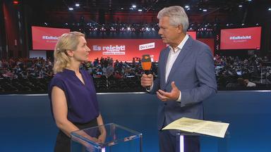 Interview Parteitag Linke mit Ines Schwerdter