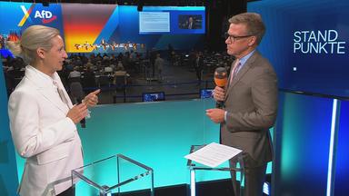 AfD-Parteivorsitzdende Alice Weidel im Interview beim Bundesparteitag der AfD in Erfurt