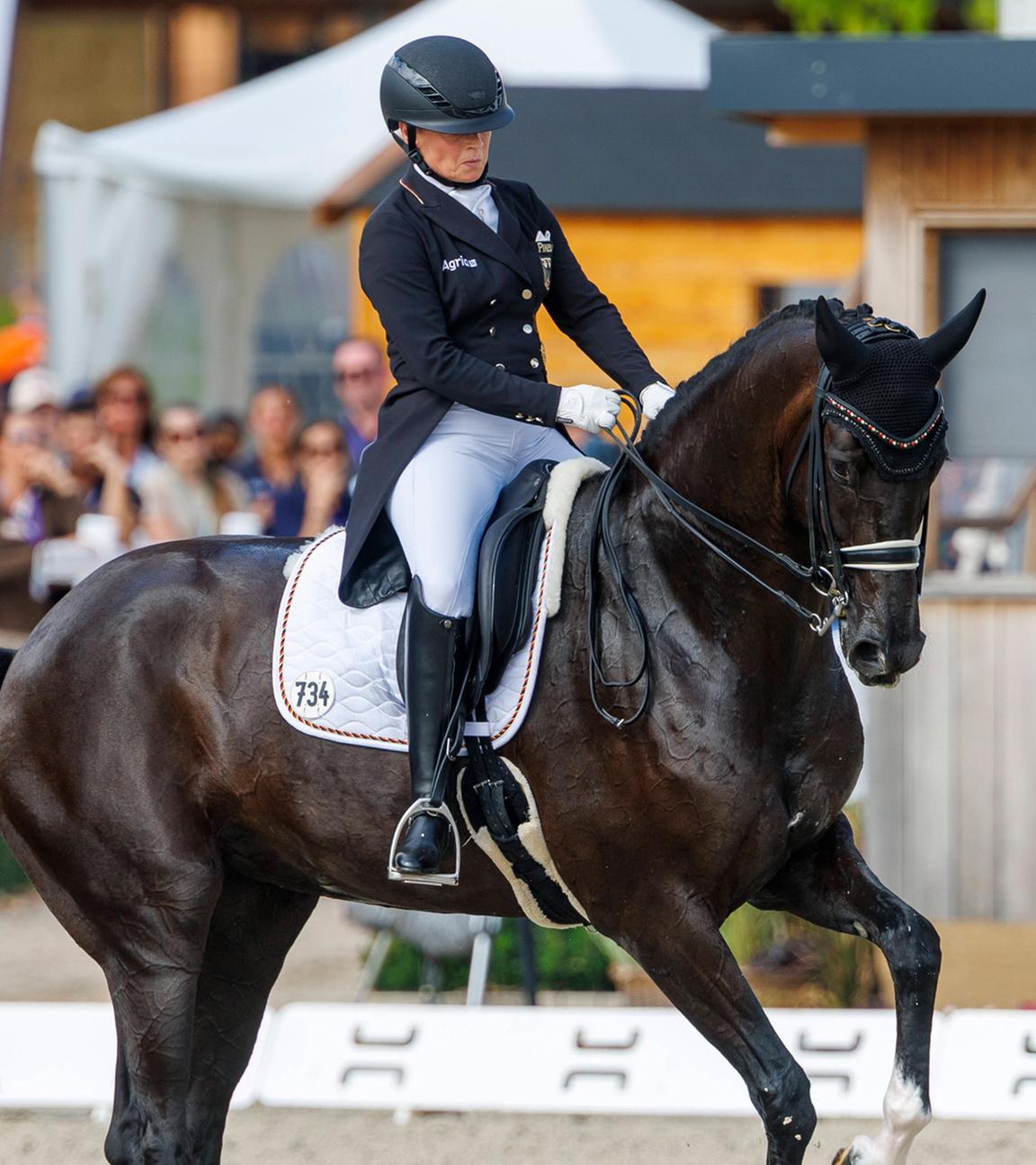 28.08.2025, Crozet, Frankreich: Isabell Werth (GER) mit Wendy de Fontaine beim Grand Prix der Dressur-Teamwertung bei der FEI Europameisterschaft in den Jiva Hill Stables.