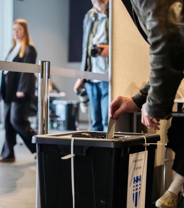 Iceland EU Election