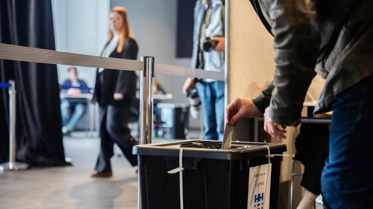 Iceland EU Election