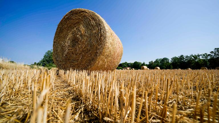Heuballen auf einem Feld