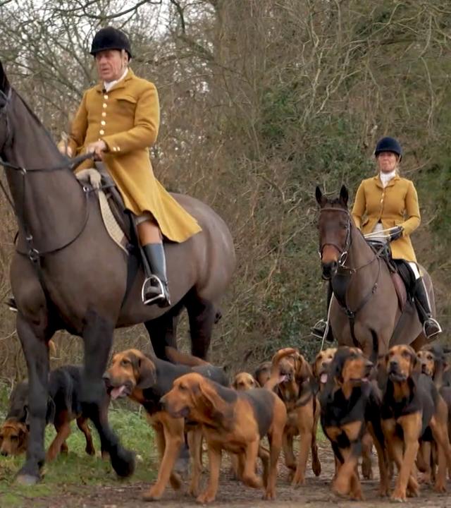 Reiter auf Perfen, mit ganz vielen Hunden