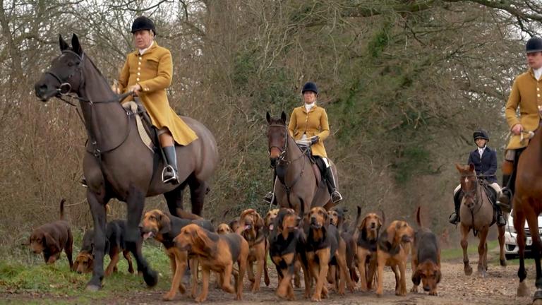 Reiter auf Perfen, mit ganz vielen Hunden